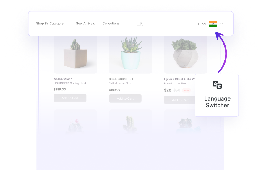 Language Switcher
