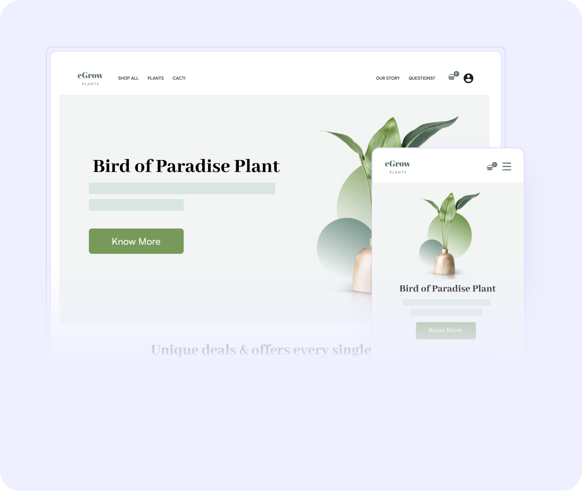 Mobile Responsive Seo Friendly Websites