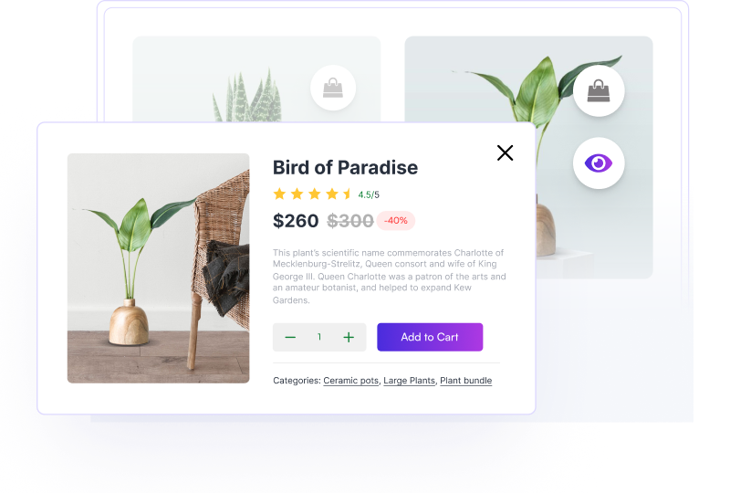Quick View Feature New