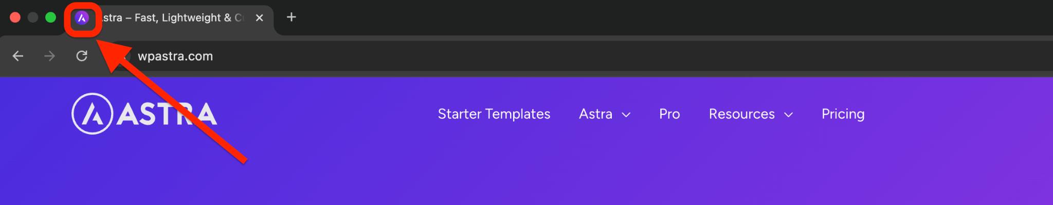 Getting Started with the Astra Customizer Word Image 203311 5